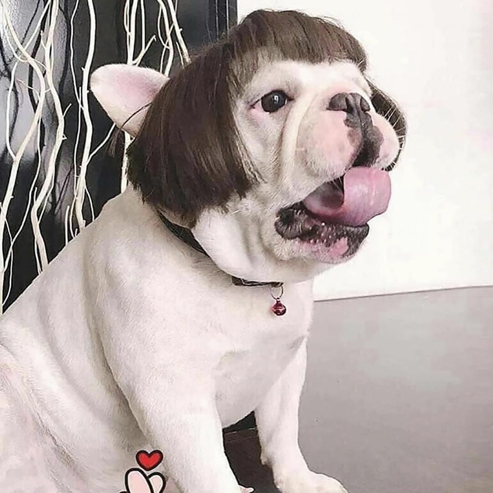 Dog Wig Pet Costumes Pet Headwear Hair Costumes for Festival Cosplay Party view 7