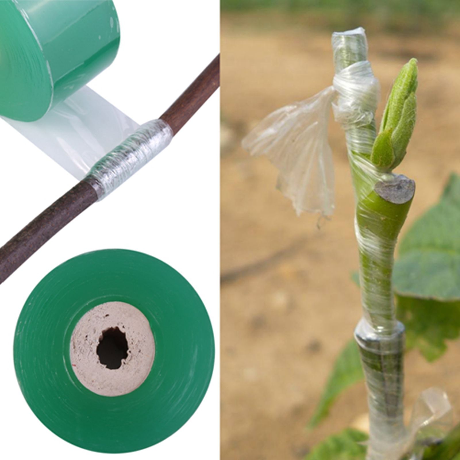 100m Long Self adhesive Fruit Tree Seedling Nursery Grafting Tape Plants view 10