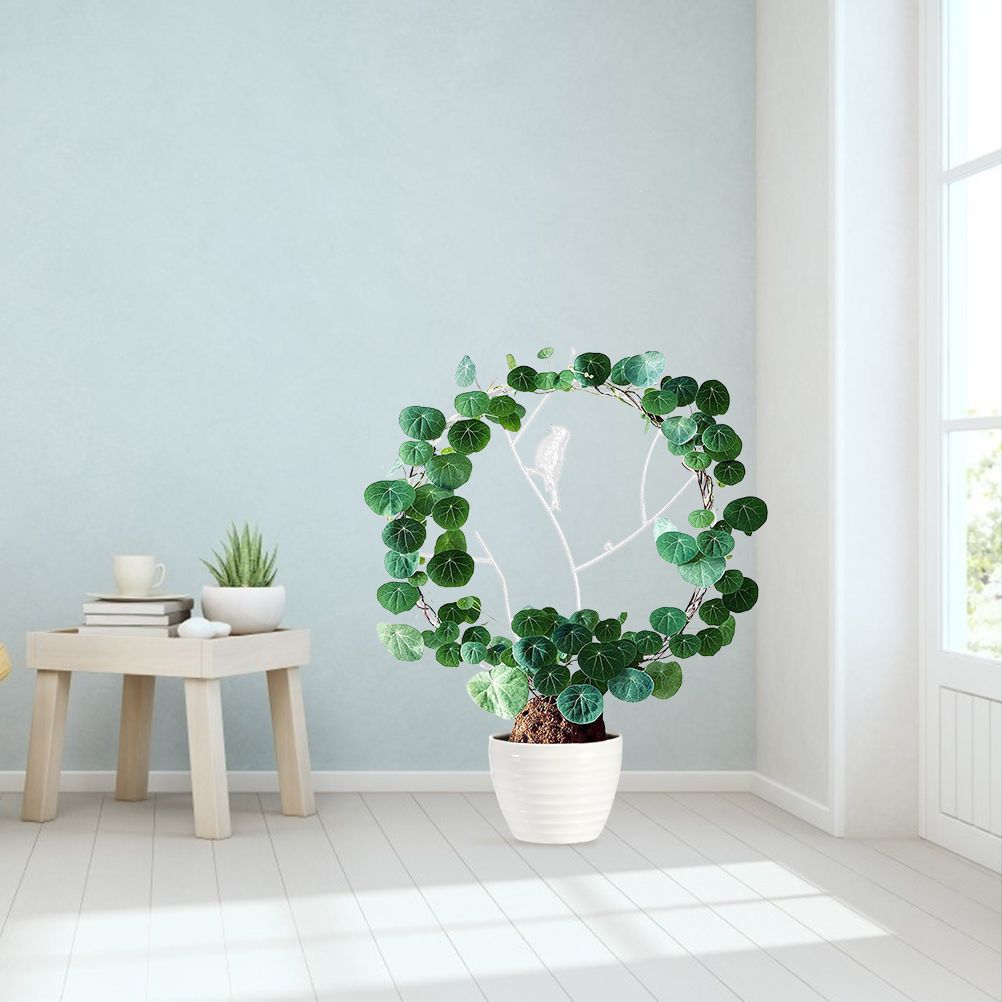 Vine Climbing Rack Iron Vegetables Plant Trellis Plant Support Frame Plant view 5