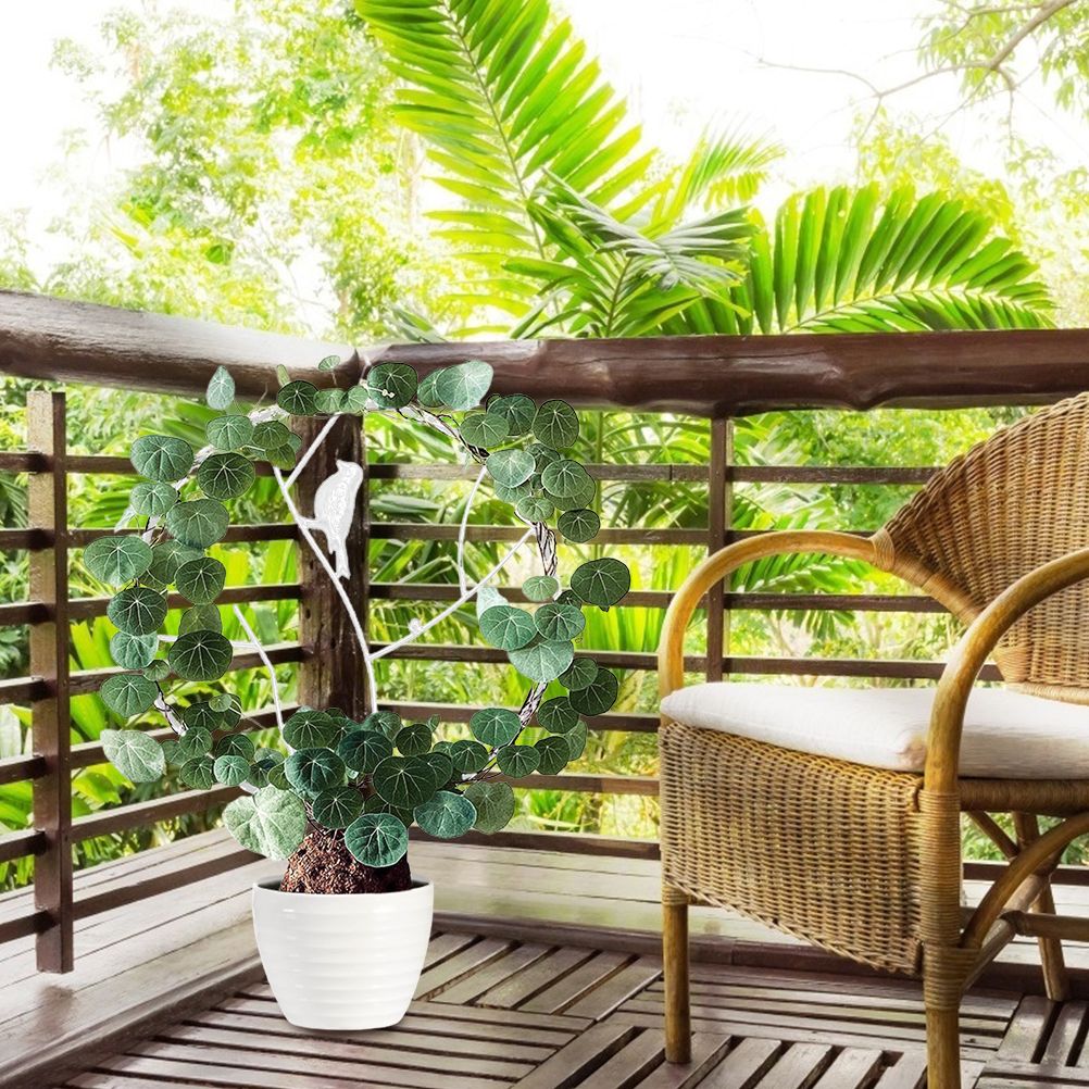 Vine Climbing Rack Iron Vegetables Plant Trellis Plant Support Frame Plant view 9