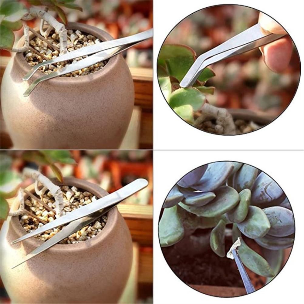 Planting Tools Mini Home Gardening Tools Set Succulent Plant Transplant Tool view 11