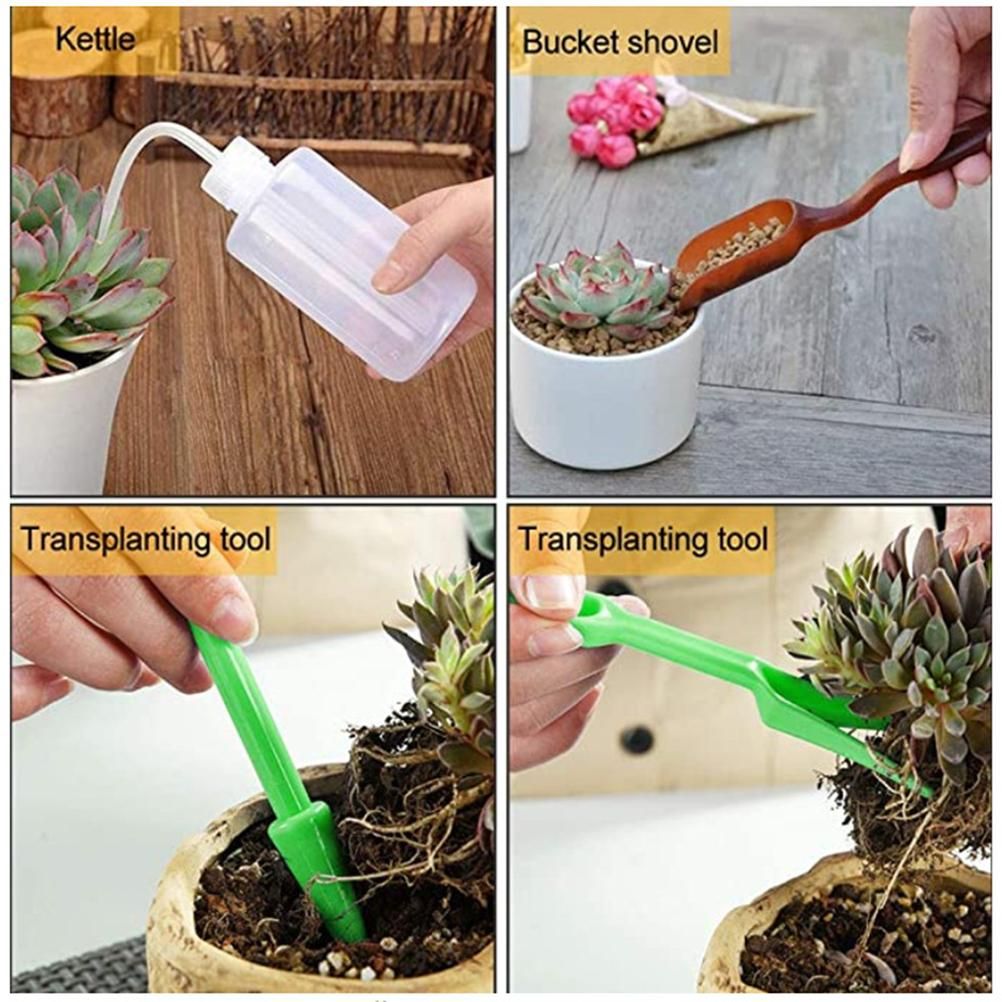 Planting Tools Mini Home Gardening Tools Set Succulent Plant Transplant Tool view 12