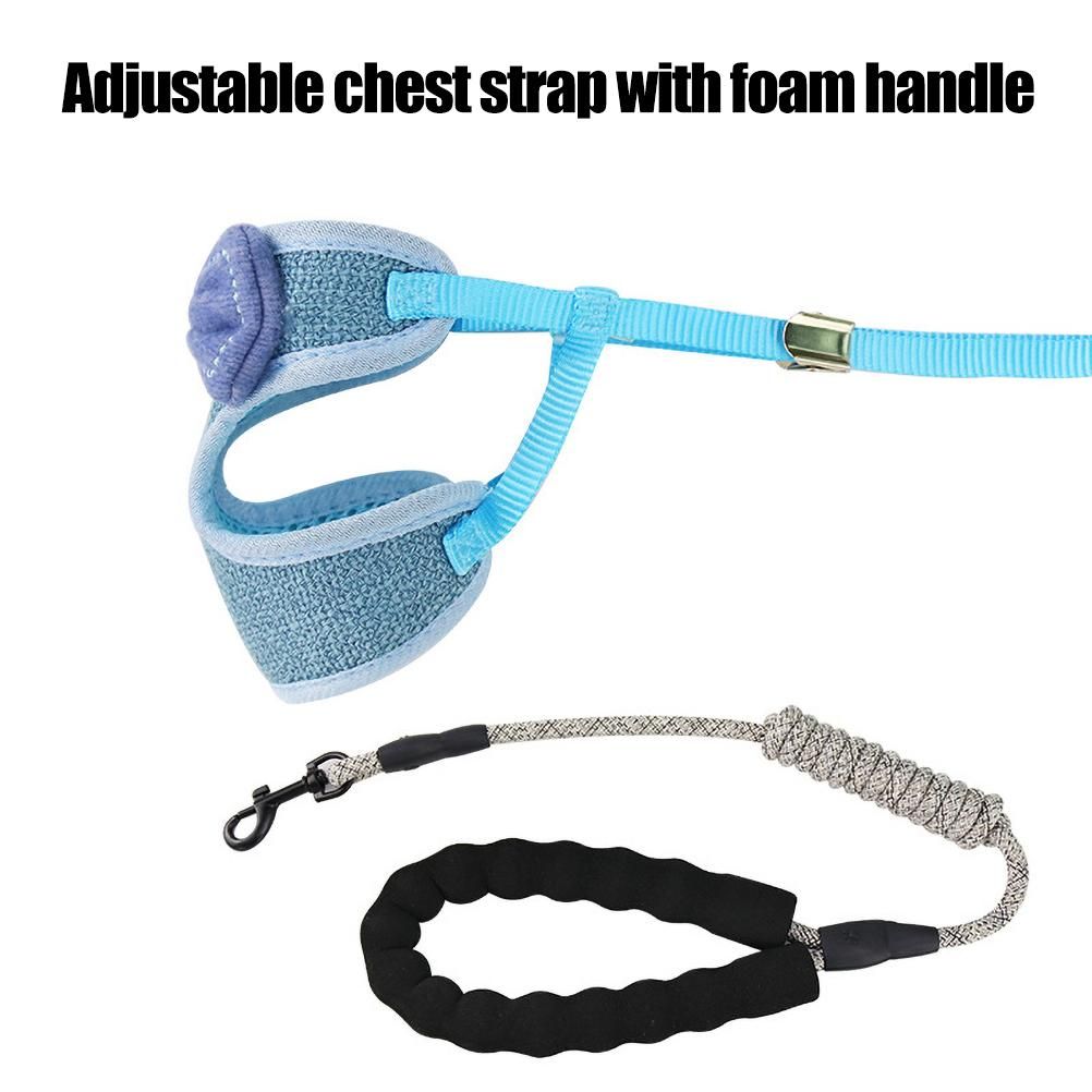 Cat Leash Harness Set Adjustable Bowknot Vest Type Cat Traction Rope Pet Supplies view 6