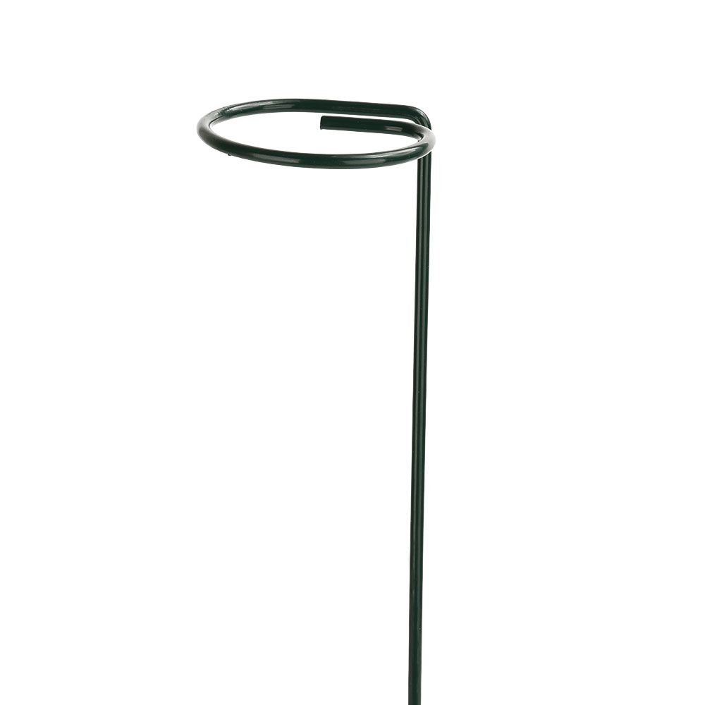 10PCS Plant Support Stake for Indoor Plants Iron Garden Plant Stem Support view 3
