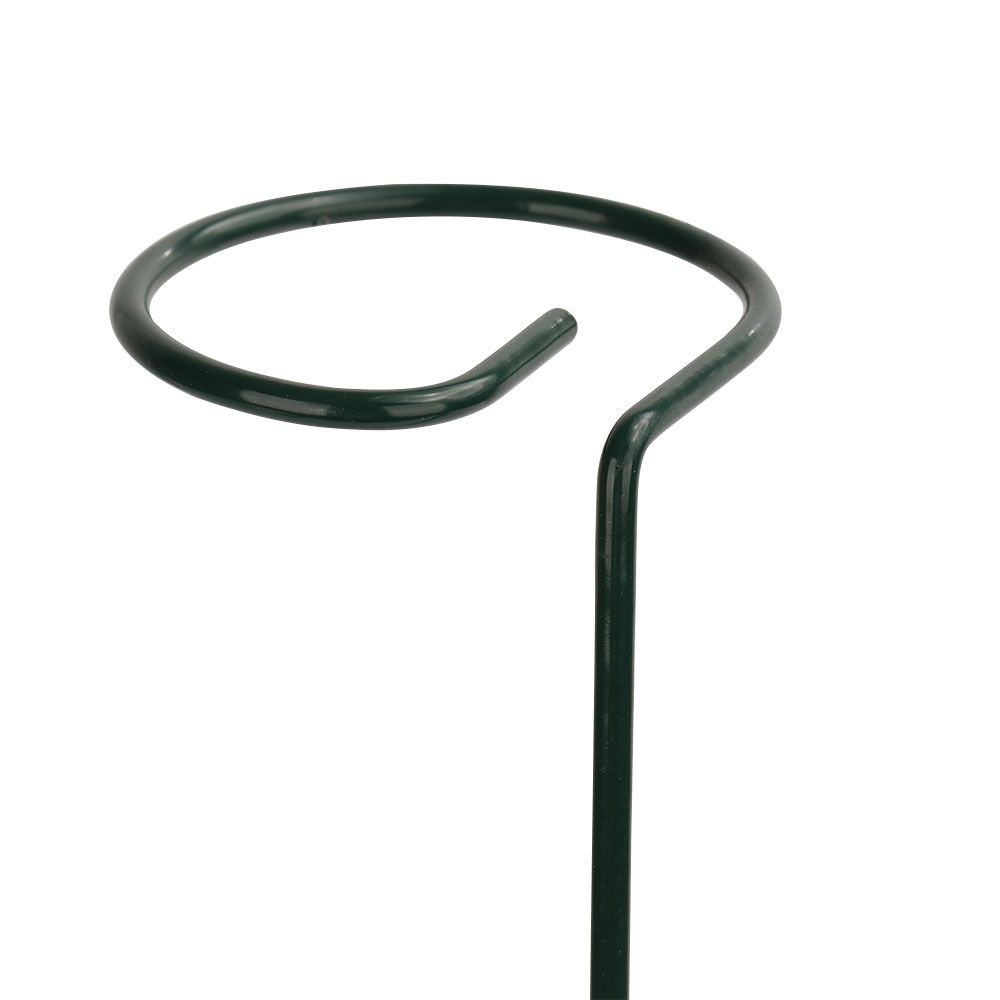 10PCS Plant Support Stake for Indoor Plants Iron Garden Plant Stem Support view 6