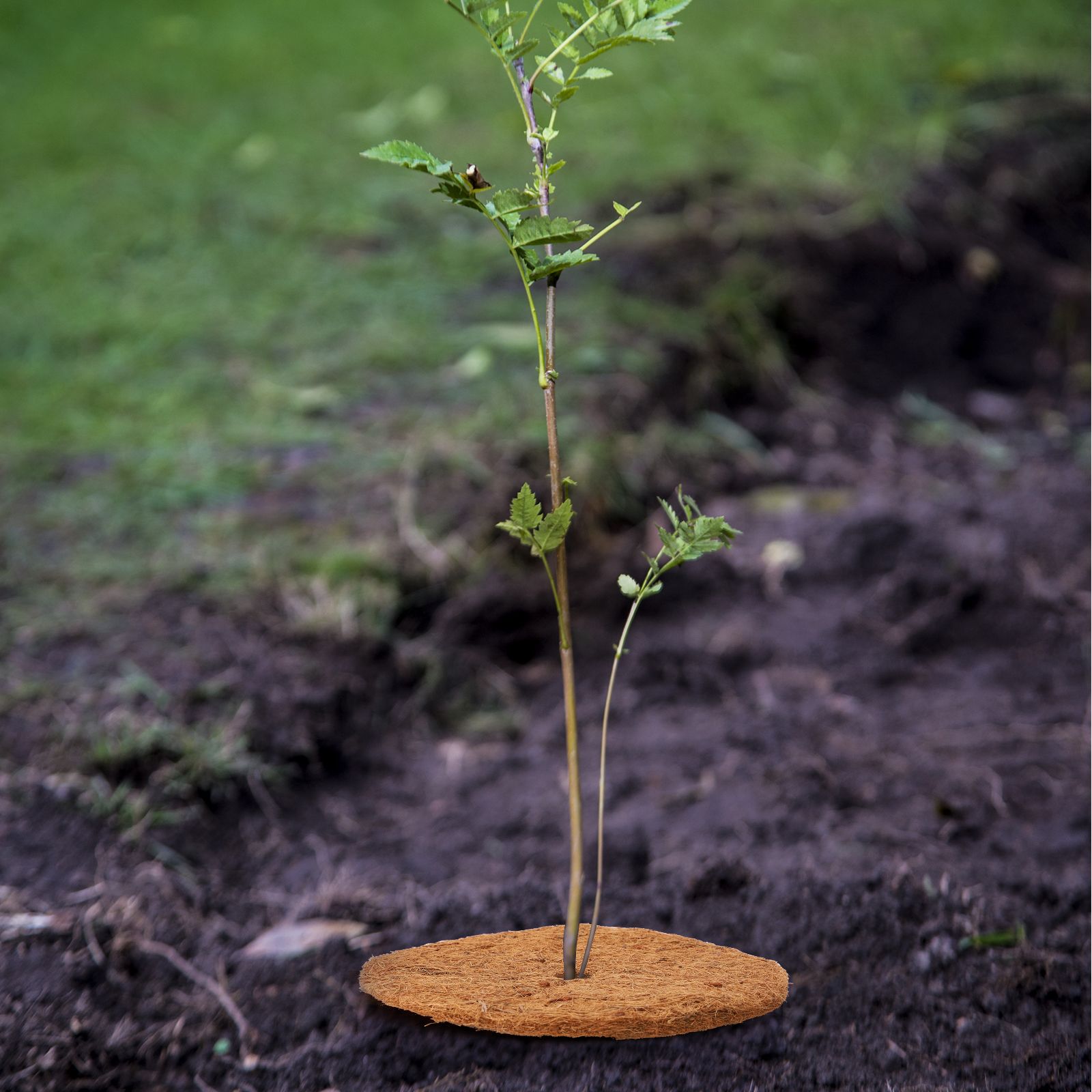 Coconut Fiber Mulch Ring 15.74 Inch Tree Protector Mat Plant Cover Ring for view 6
