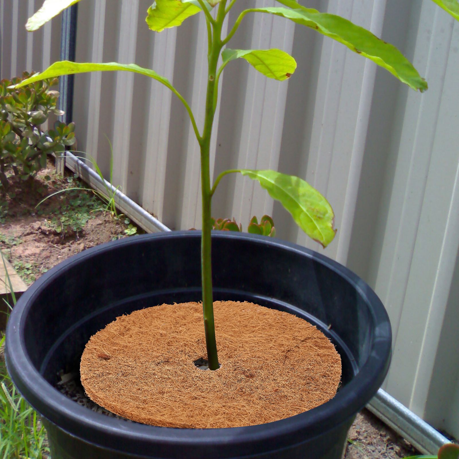 Coconut Fiber Mulch Ring 15.74 Inch Tree Protector Mat Plant Cover Ring for view 7