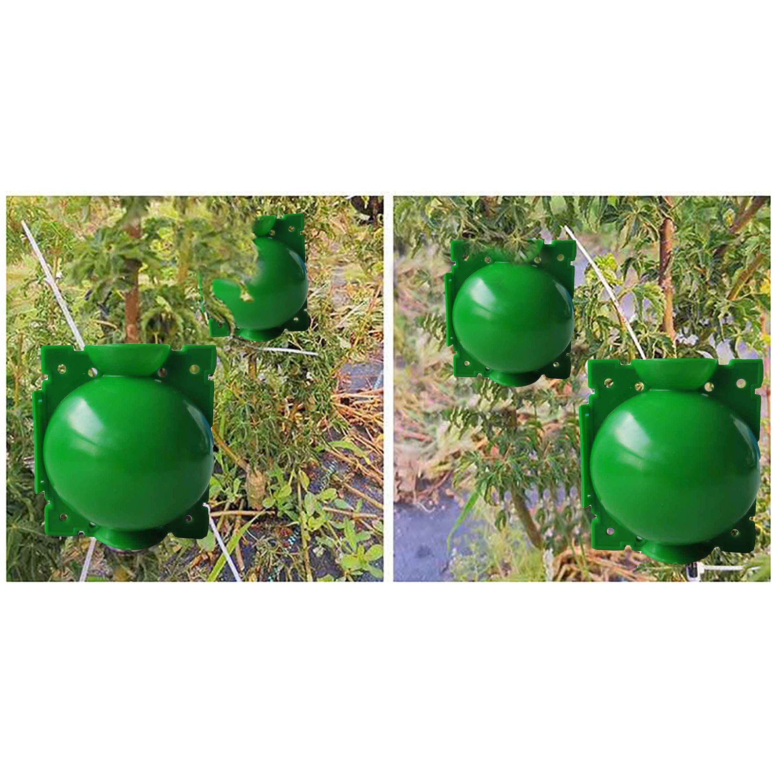 10Pcs Plant Root Growing Box High Pressure Propagation Ball Rooting Grafting view 3