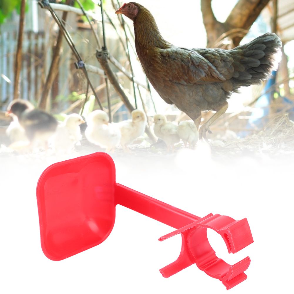20Pcs Chicken Nipple Drinker Cups Waterer Hanging Cup Drinking Water Tool Farm — image 1