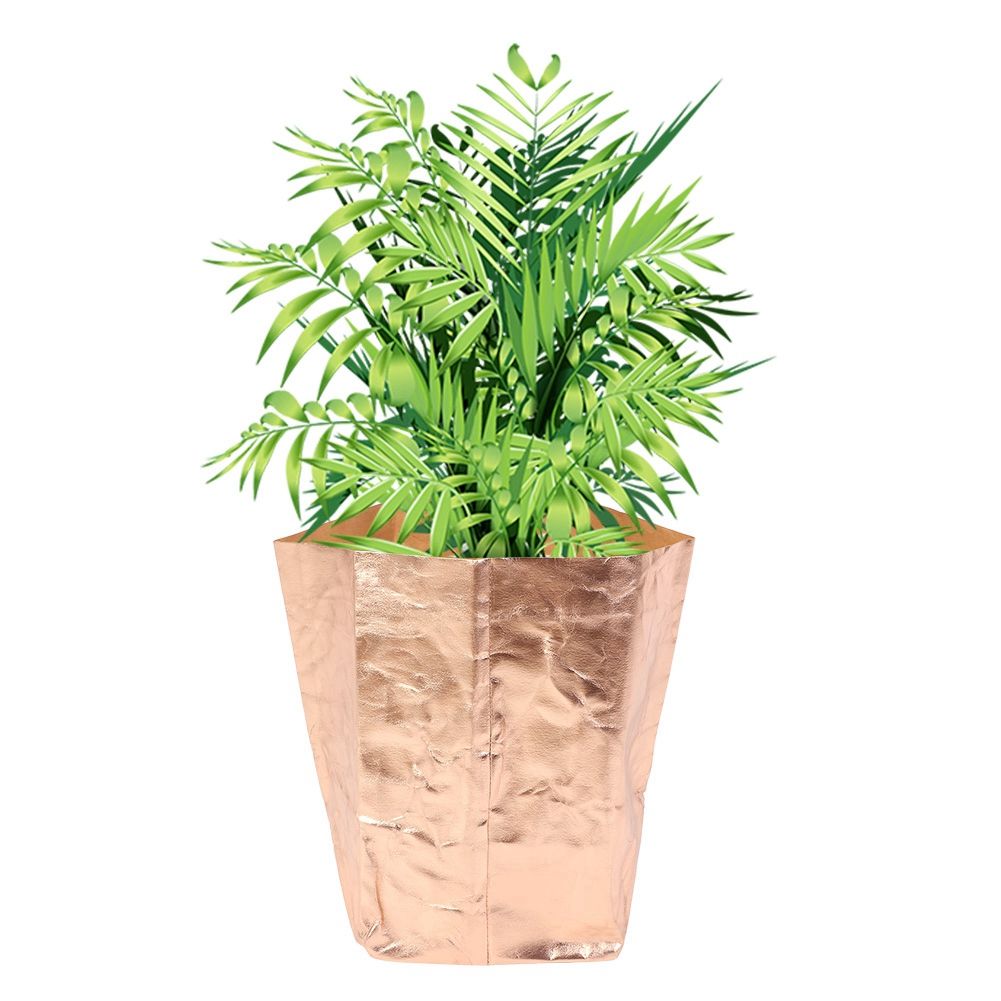 Kraft Paper Washable Reusable Planting Bag Plant Growing Bags for Garden view 9
