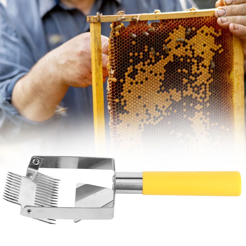 Stainless Steel Beehive Knife Scraper Beekeeping Uncapping Fork Tool Honey view 9