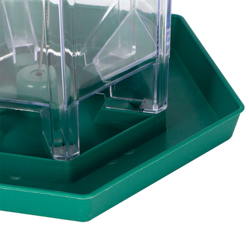 Waterproof Hanging Plastic Transparent Bird Feeder Feeding Tools for Outdoor view 11