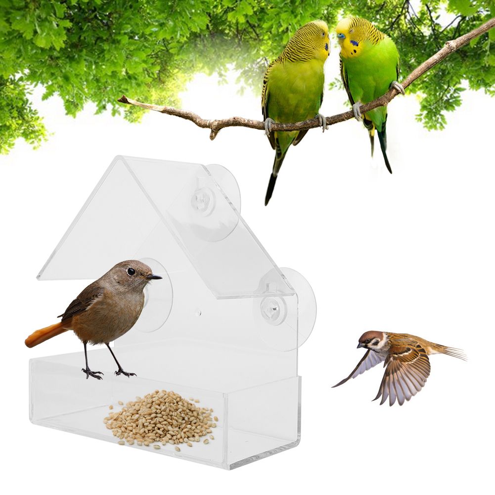 Indoor Outdoor Hanging Acrylic Pet Bird Feeder Feeding Tools for Garden view 10