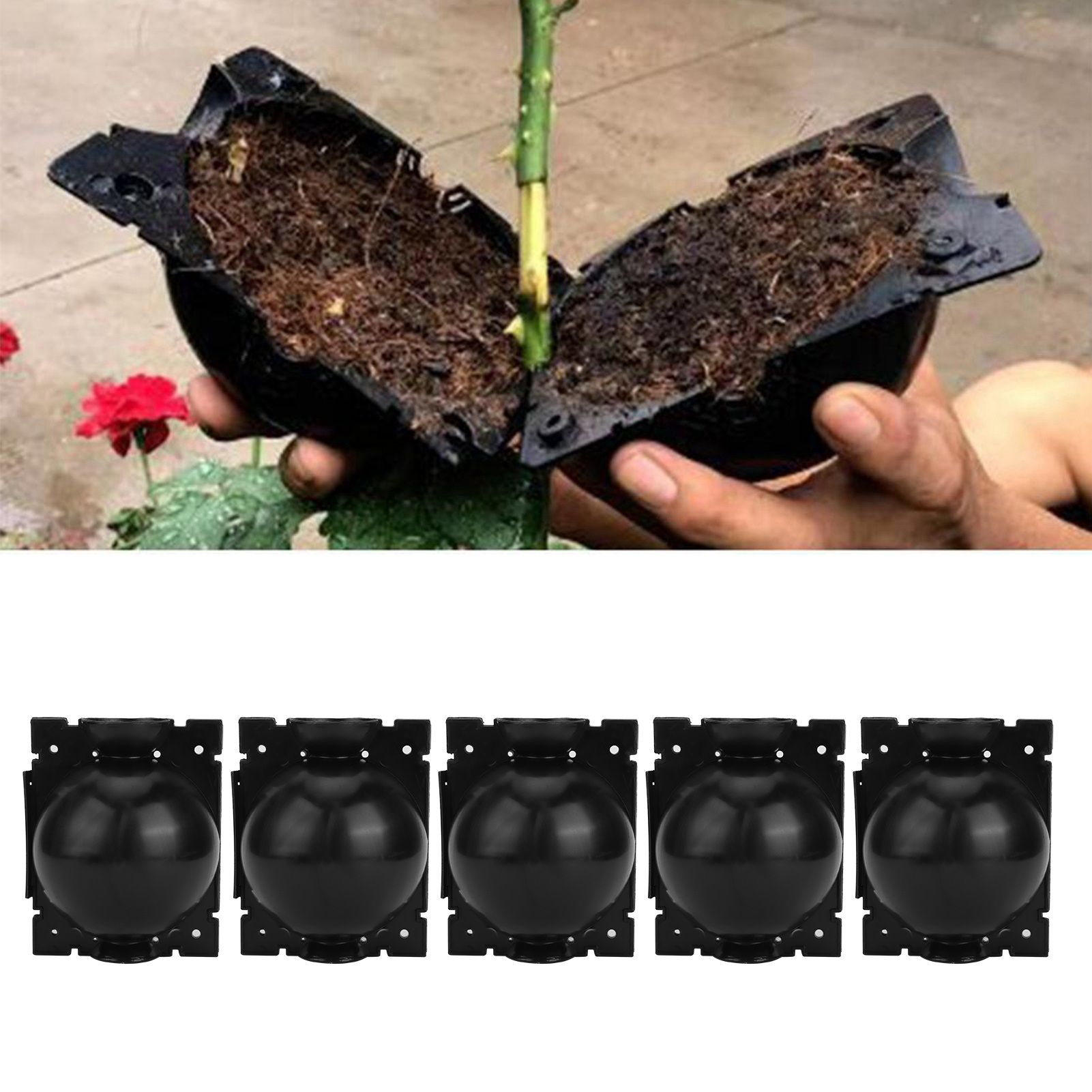 5Set Reusable Plant Rooting Device Grafting Reproduction Growing Box Gardening view 10