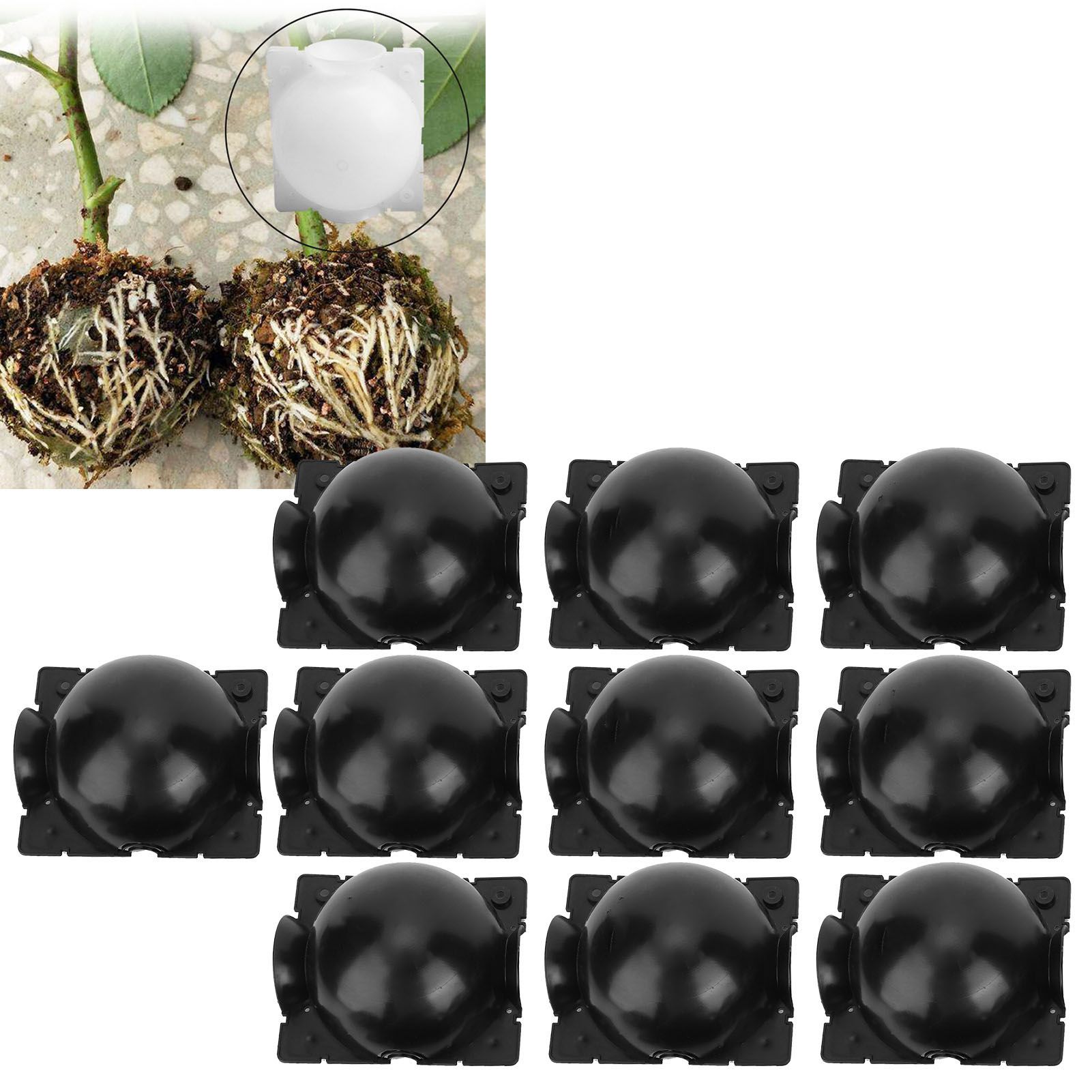 5 Set Reusable Plant Growing Grafting Rooting Devices High Pressure view 10