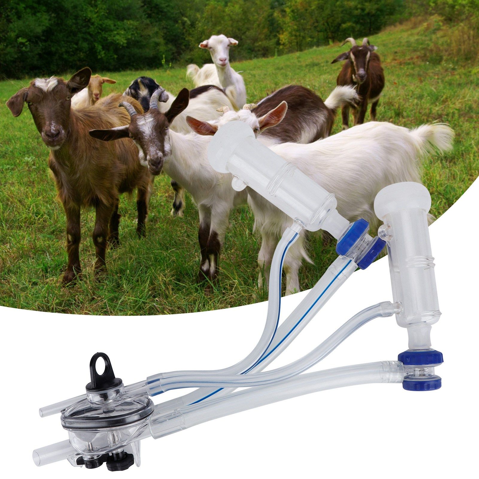 Sheep Milking Cluster Groups Milking Teat Cup Milk Collector for Milker view 9