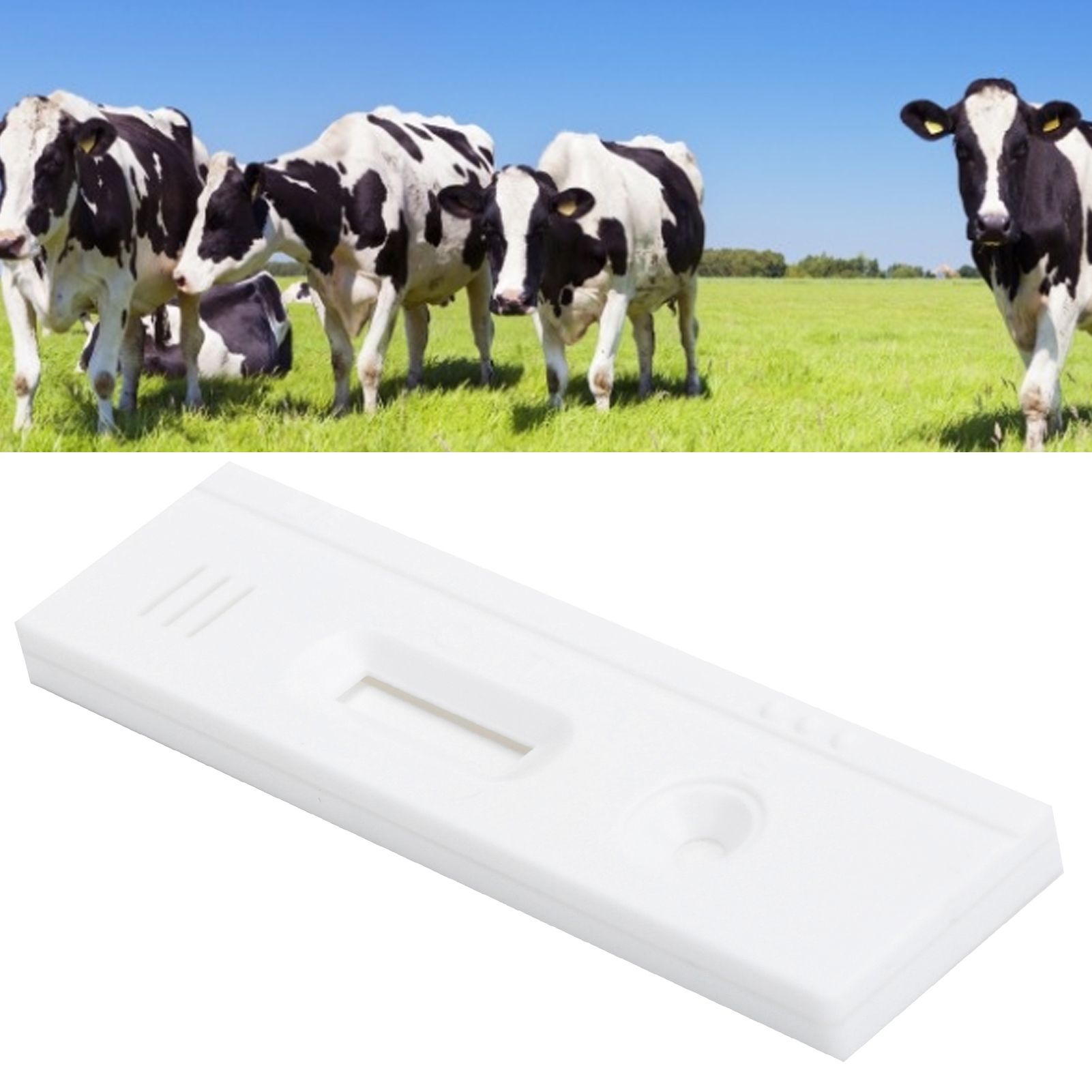 Cow Pregnancy Test Strip Disposable Pregnant Diagnosis Testing Tool Livestock view 10