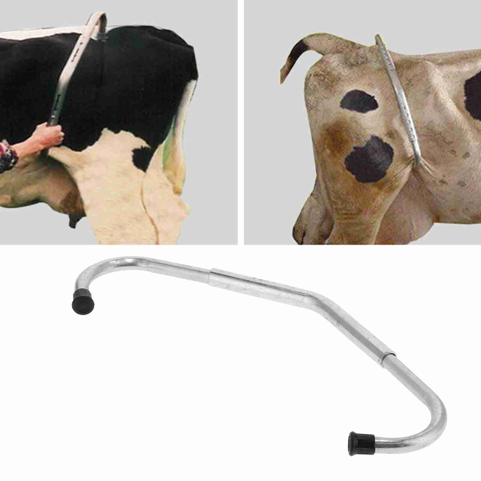 Adjustable Cattle Anti Kicking Stick AntiKick Off Device Rod Tool for Dairy view 12