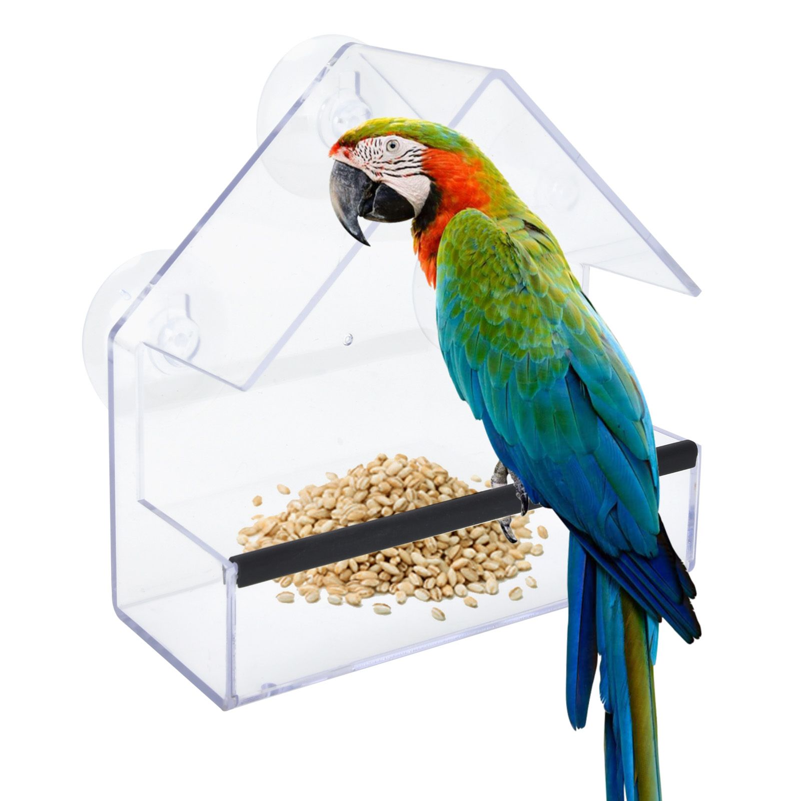 Automatic Bird Feeder Garden Yard Paddock Exterior Decoration Courtyard Indoor view 12
