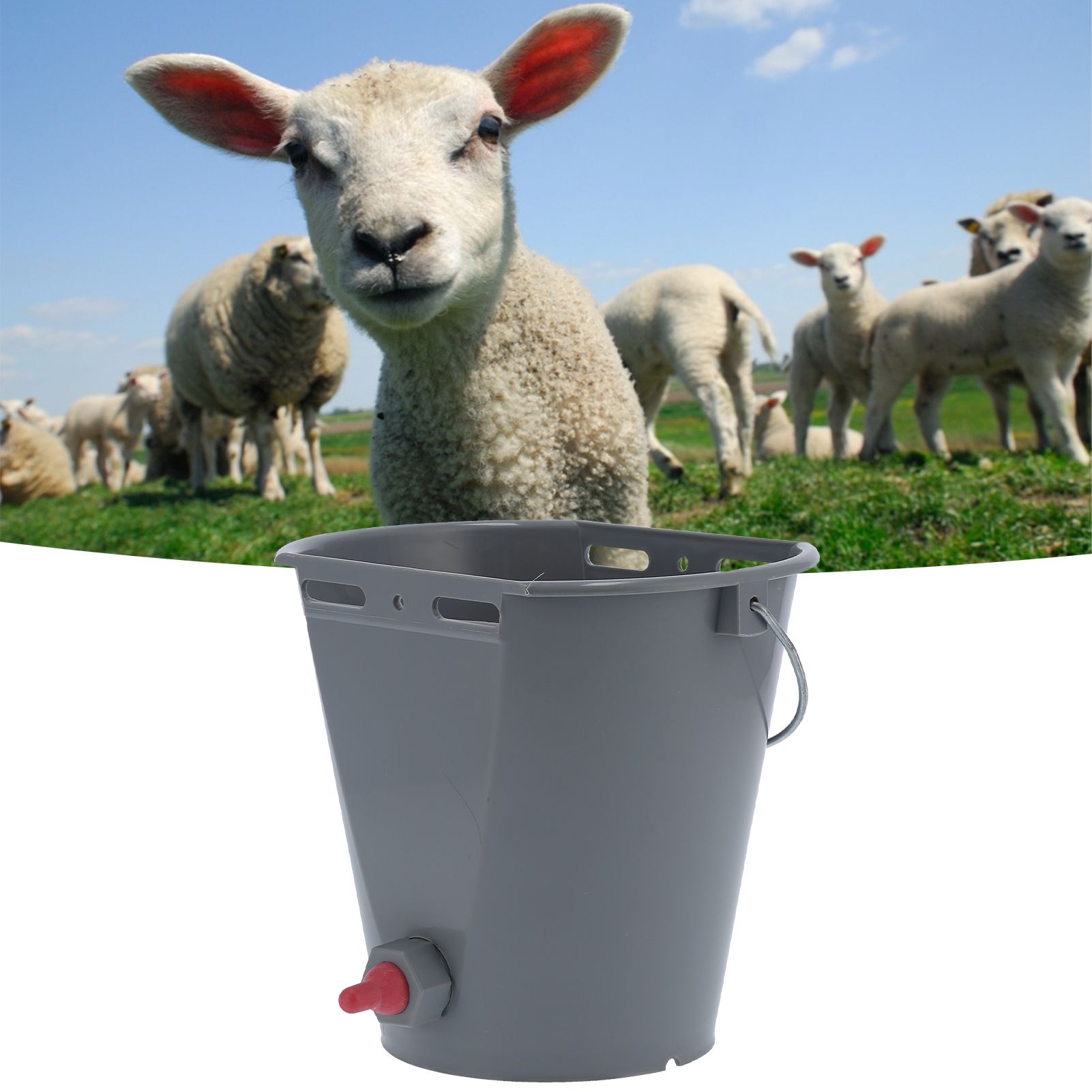 Feeder Bucket with Single Nipple Food Grade Plastic Milk Feeding Equipment for view 11
