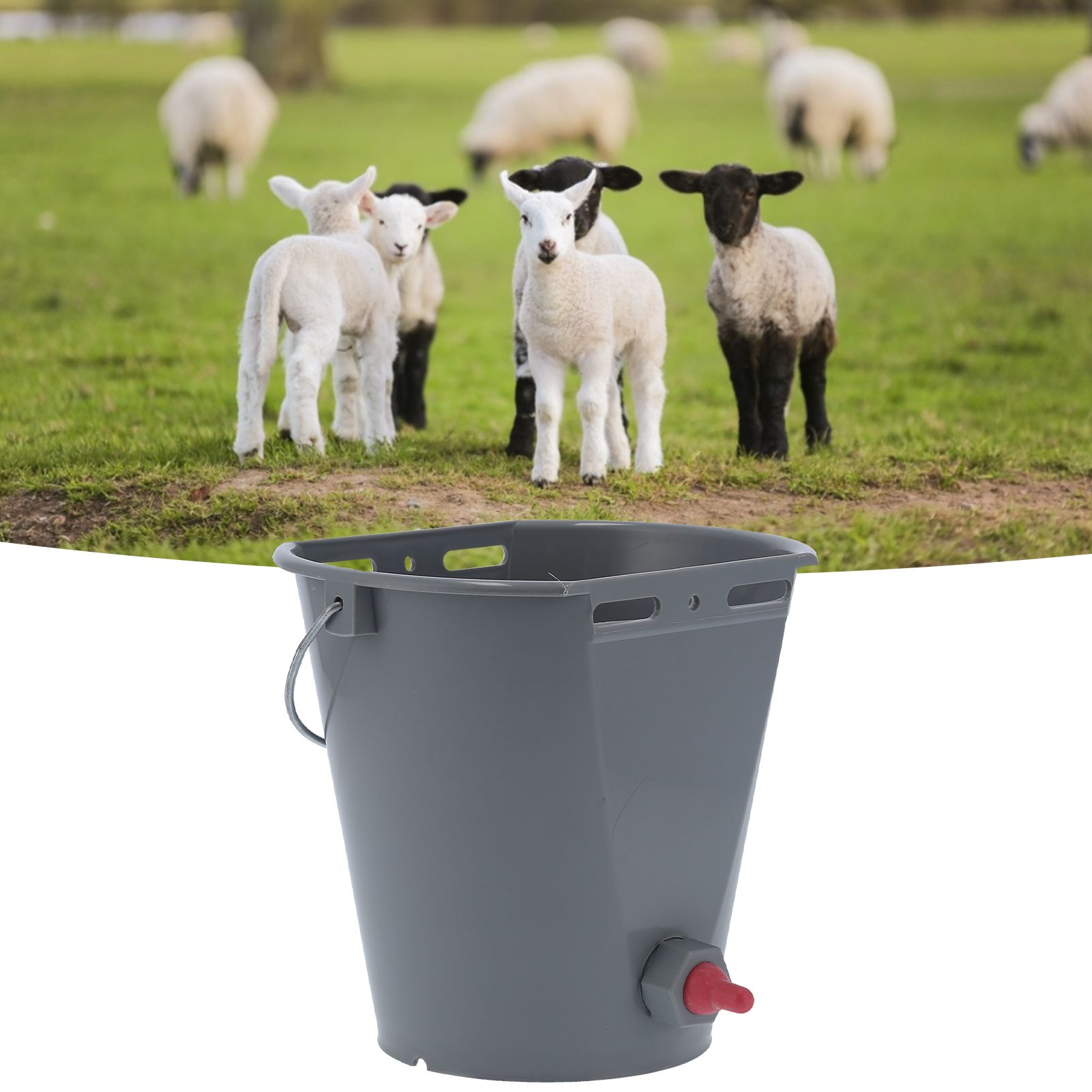 Feeder Bucket with Single Nipple Food Grade Plastic Milk Feeding Equipment for view 12
