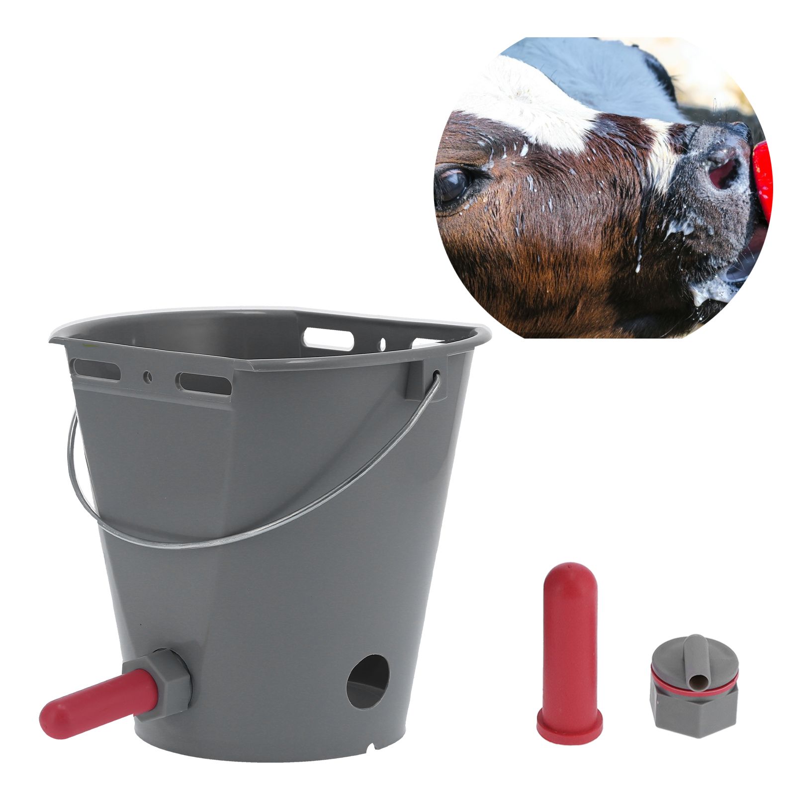 8L Feeder Bucket with 2 Nipple Milk Feeding Barrel Livestock Farm Accessory view 11