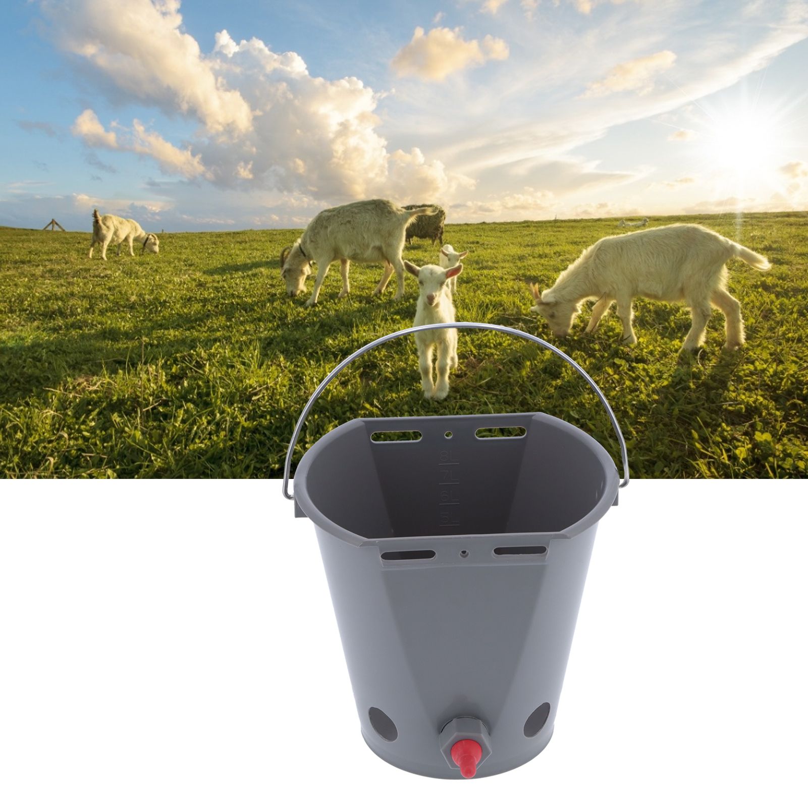 8L Feeder Bucket Farm Livestock FoodGrade Plastic Feeding Barrel with 5 view 12