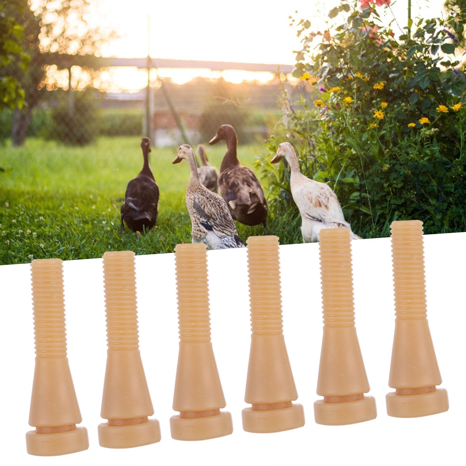 100PCS Poultry Plucker Machine Picker Rubber Hair Removal Stick Replacement view 12