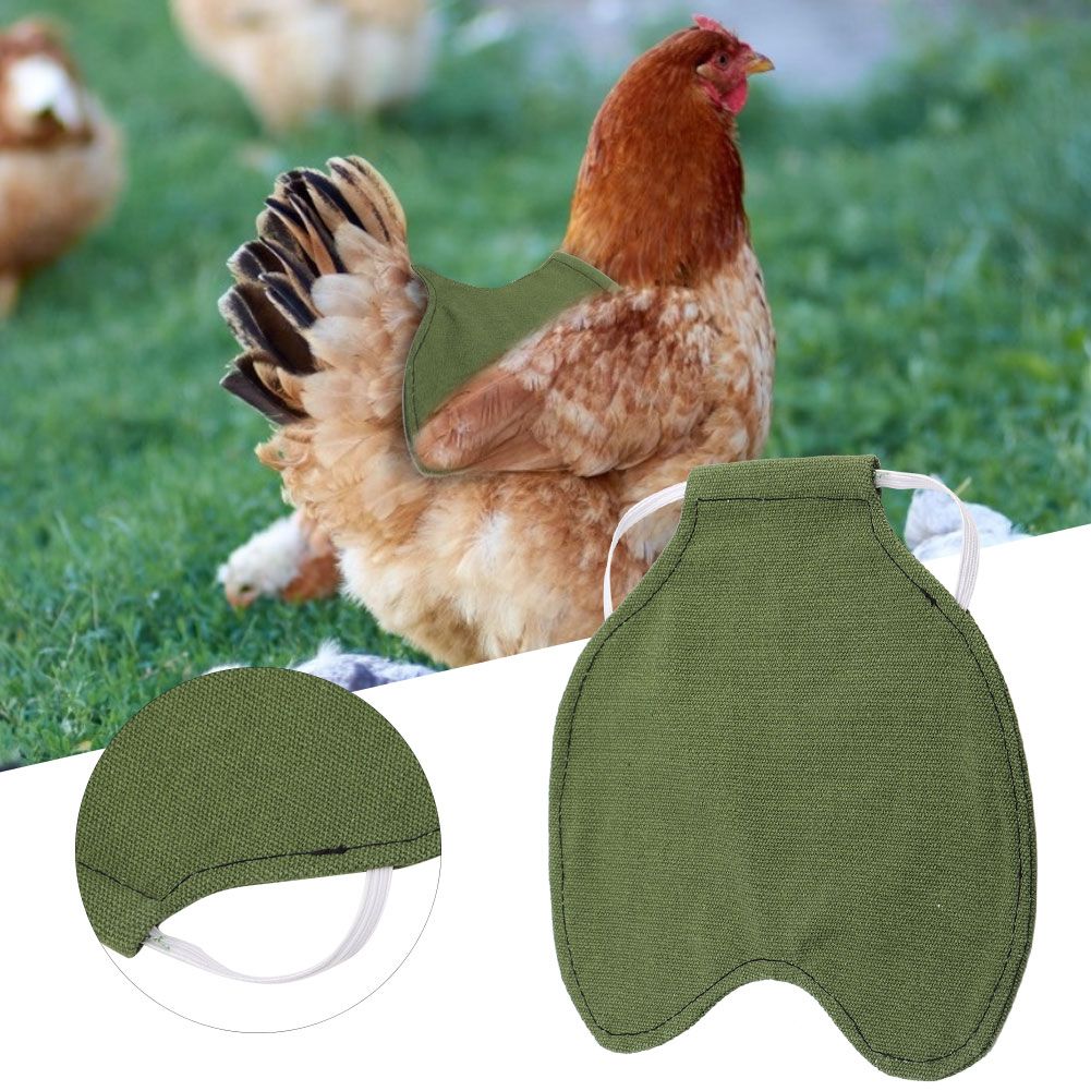 Pet Feather Protection Fixer Back Wing Protector Hen Chicken Saddle Apron view 9