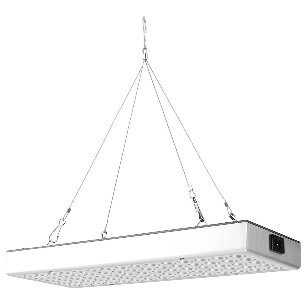 Plant Growth LED Light Full Spectrum Growing Lights for Greenhouse Horticulture view 4