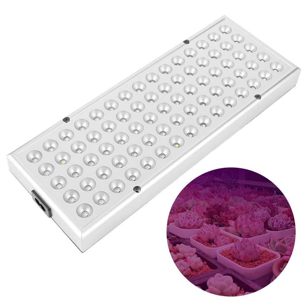 Plant Growth LED Light Full Spectrum Growing Lights for Greenhouse Horticulture view 10