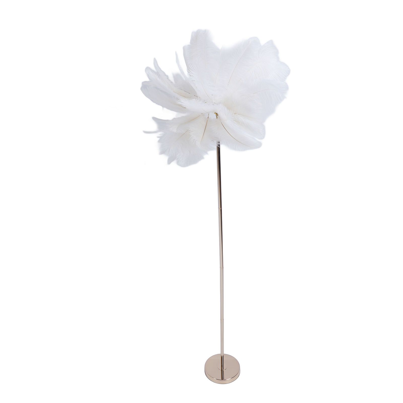 Ostrich Plume Floor Lamp Iron Art 61 Inch LED USB Stepless Dimmable Modern