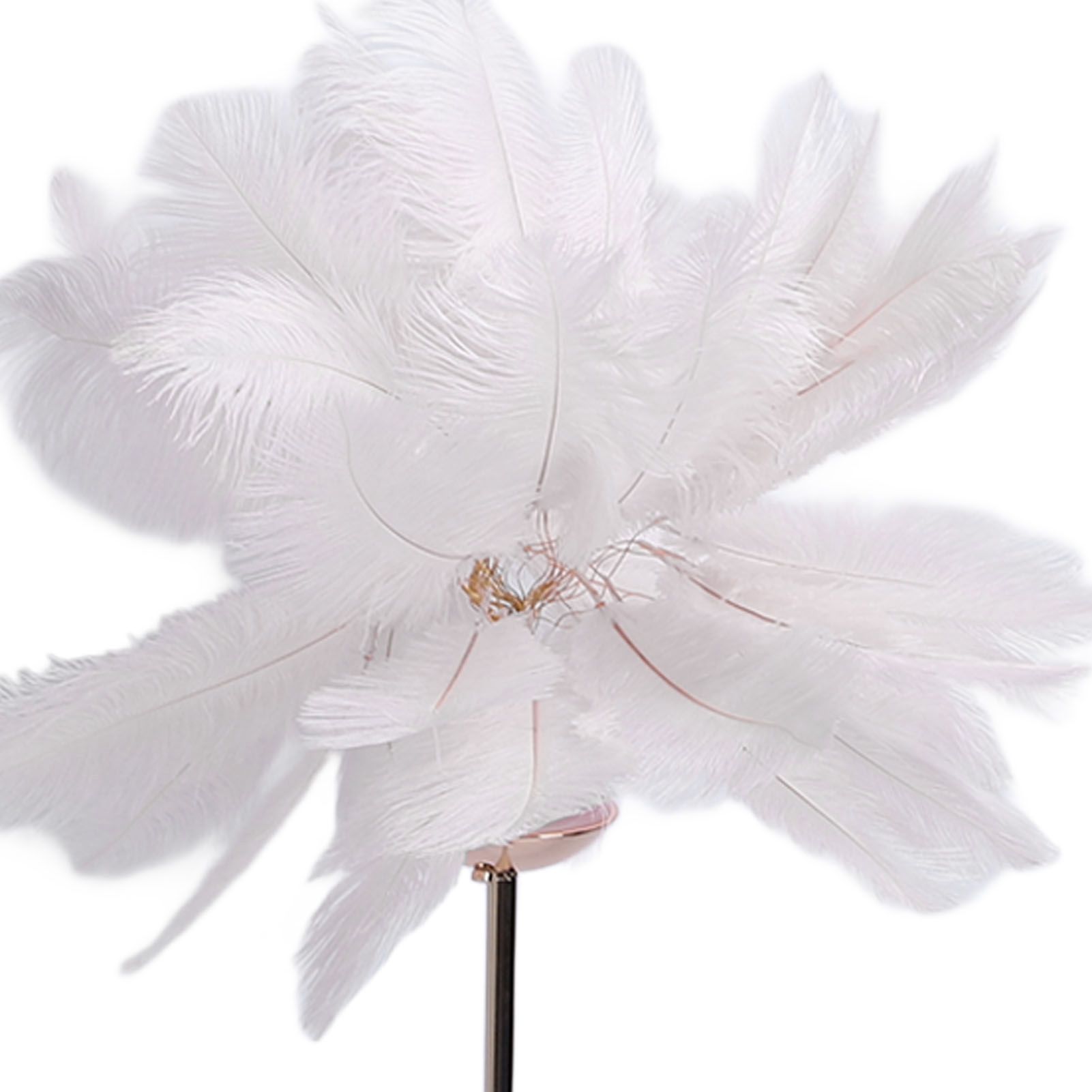 61in Decorative Feather LED Floor Lamp 3 Color Temperature Stepless Dimming view 2
