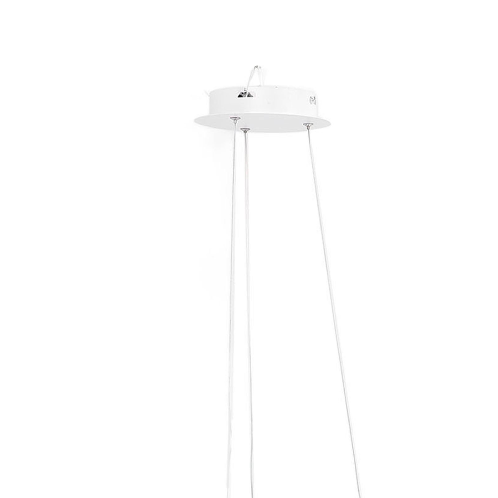 Modern Pendant Light Fixture Ceiling Hanging Light Fixture LED Pendant Light view 7