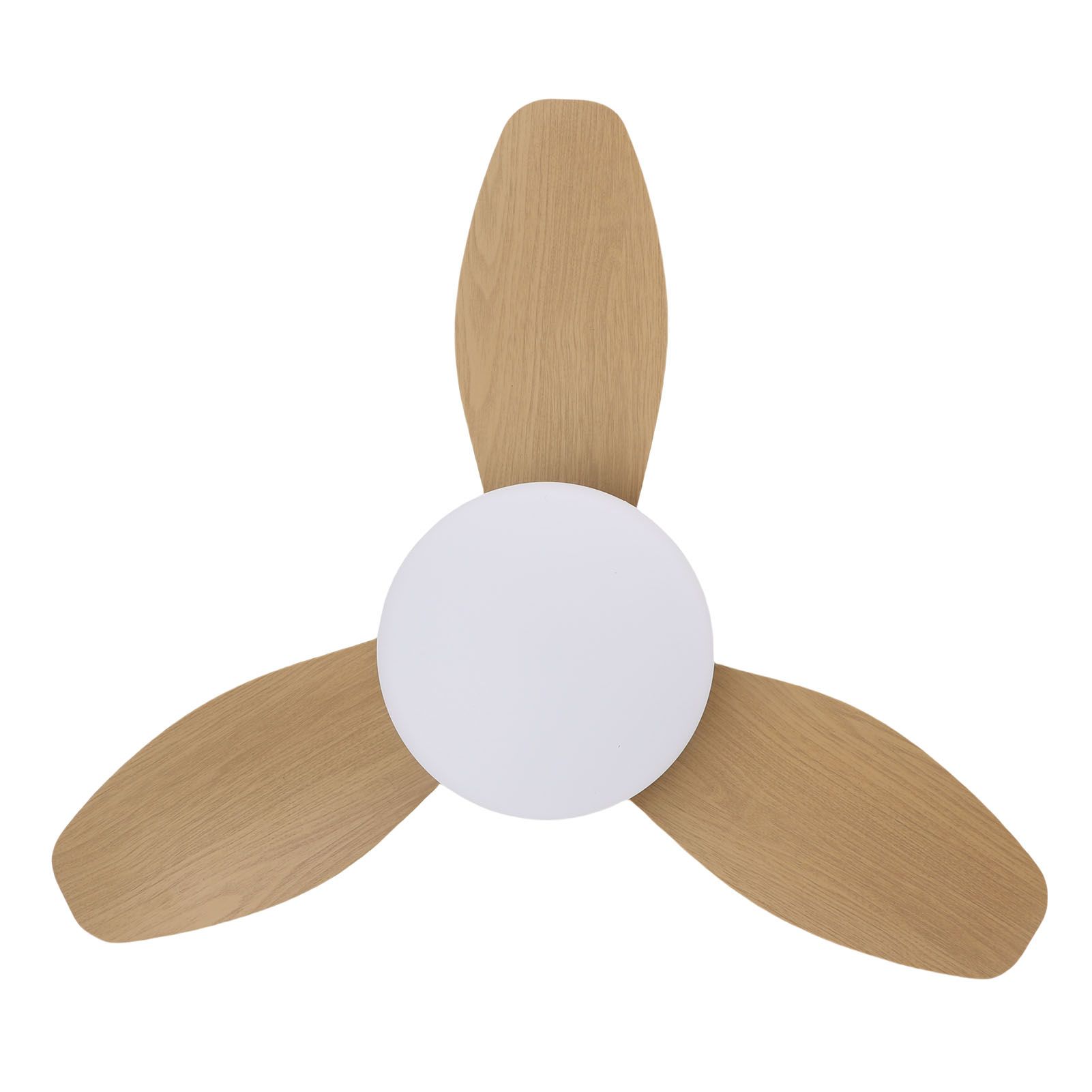 25 Inch Ceiling Fan with Light and Remote Flush Mount Quiet DC Motor 6 Speeds