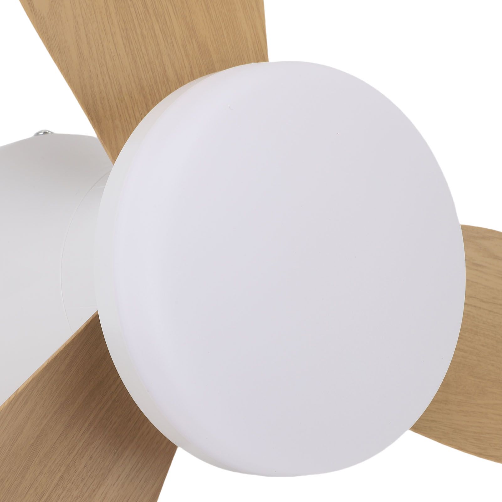 25 Inch Ceiling Fan with Light and Remote Flush Mount Quiet DC Motor 6 Speeds view 2