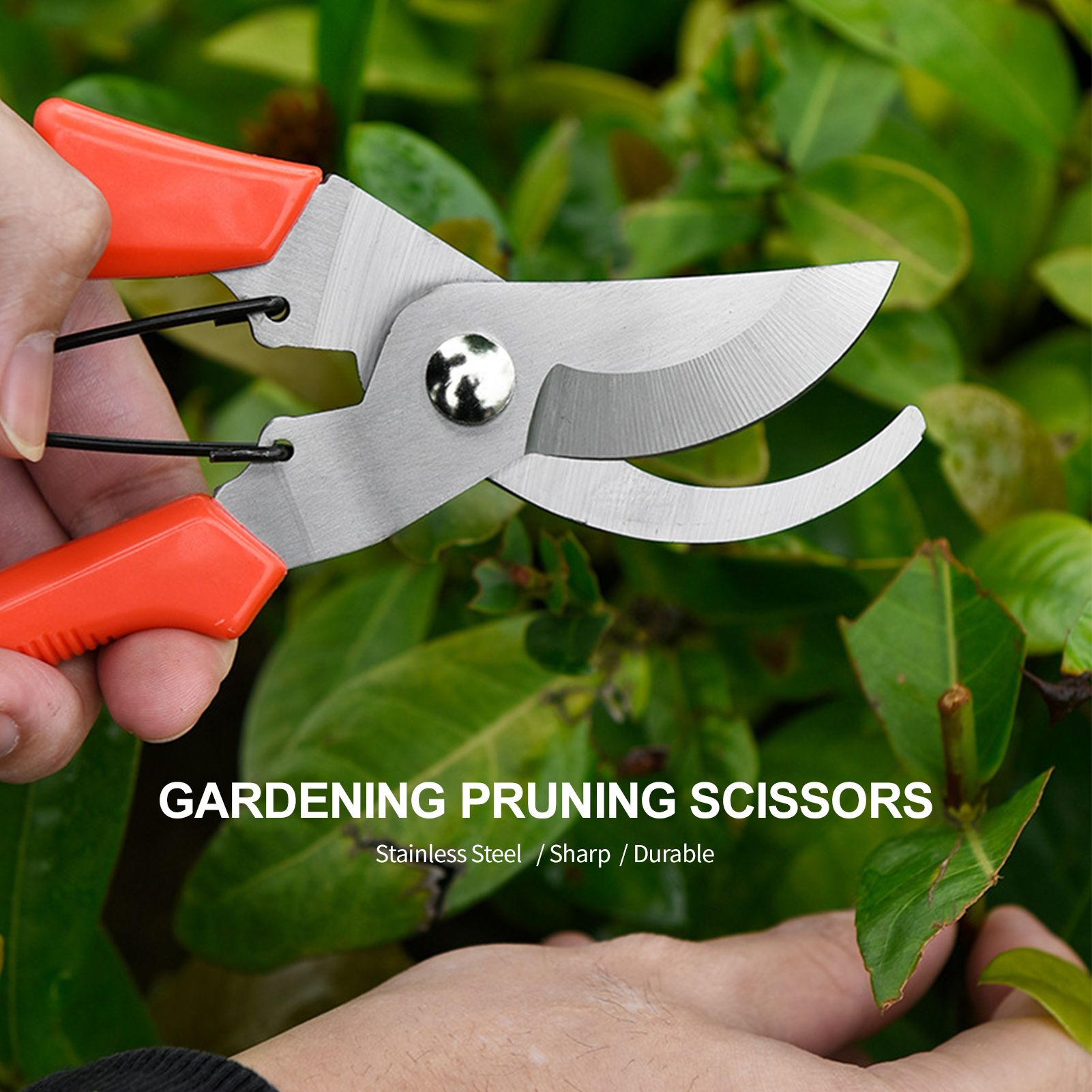 Secateurs Pruning Shears Professional Gardening Pruning Scissors Stainless