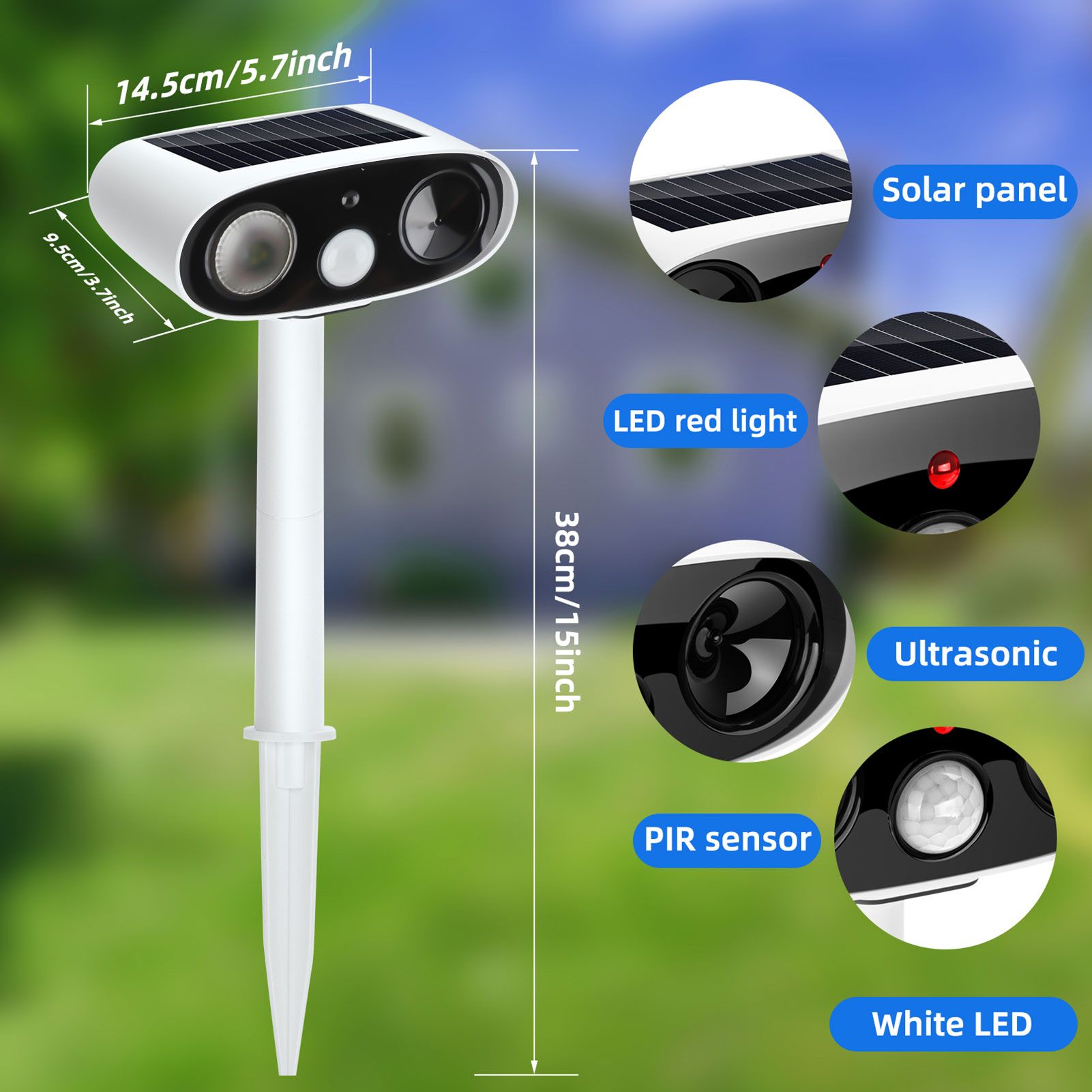 Solar Repellent Ultrasonic Outdoor Pest Bird Squirrel Animal Repeller view 2