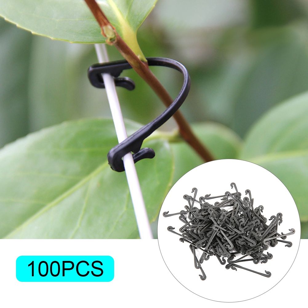 100Pcs Grape Grafting Clips Garden Plant Vegetable Vine Fixing Clamp Black view 6