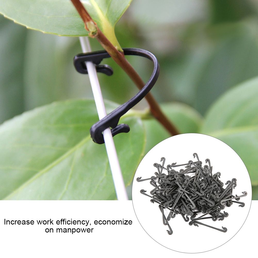 100Pcs Grape Grafting Clips Garden Plant Vegetable Vine Fixing Clamp Black view 8
