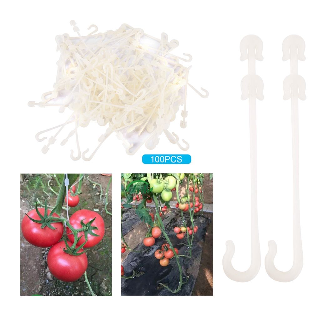 Garden Plants Support Clips Vine Pull Hook for Vegetables Cherry Tomato view 6