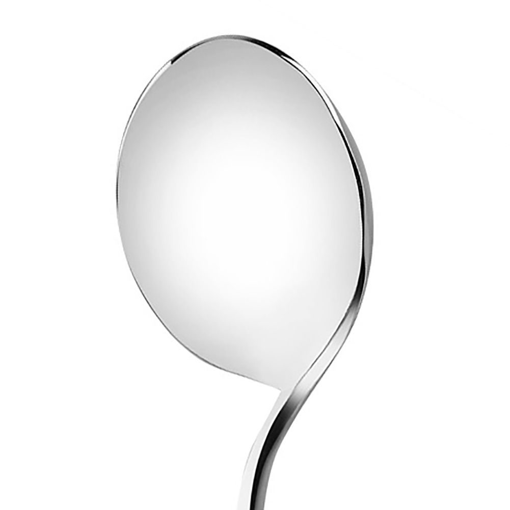 Stainless Steel Long Handle Coffee Tea Rice Spoon Dinner Tableware Teaspoon view 8