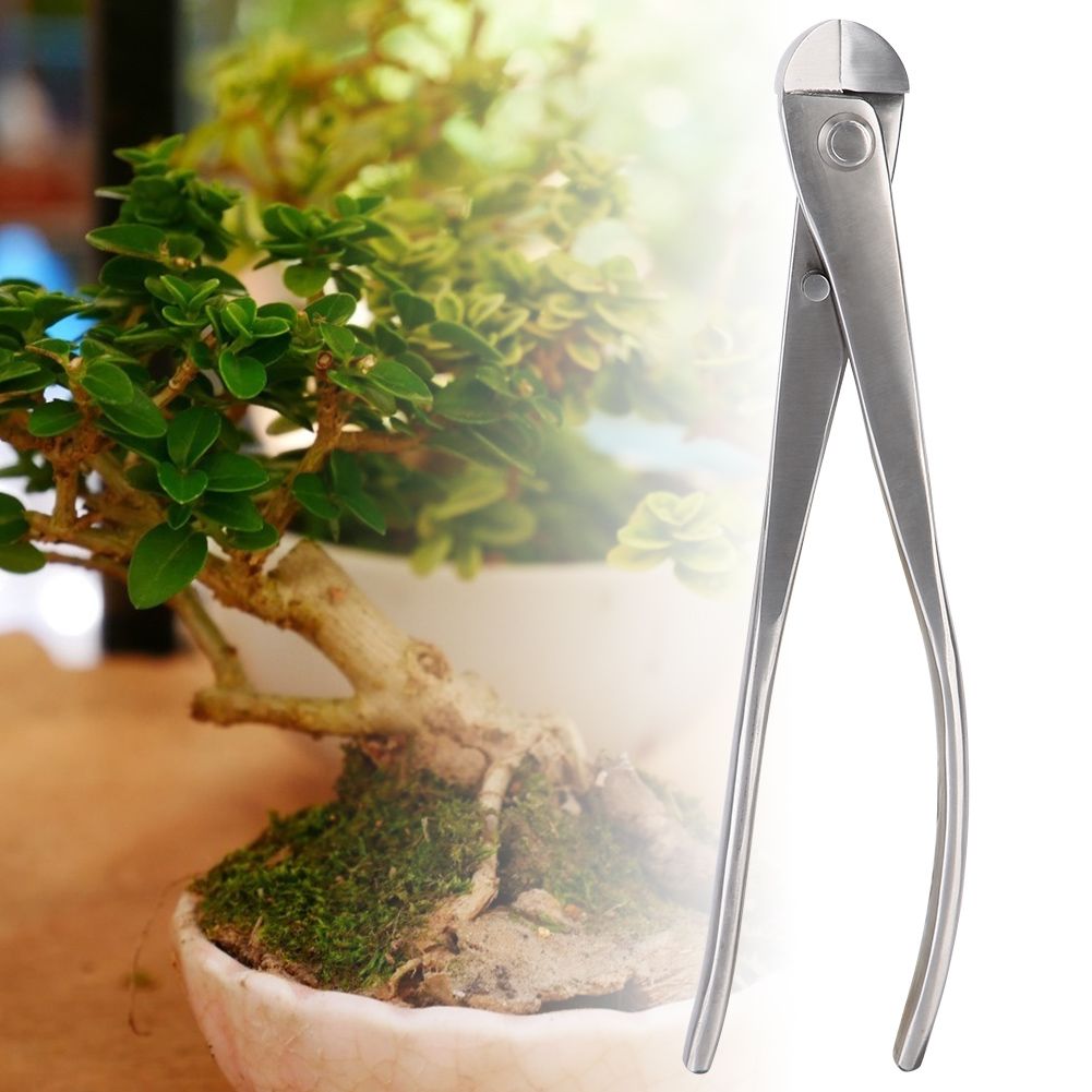 210mm Round Edge Stainless Steel Garden Pruning Shears Branches Cutter view 5