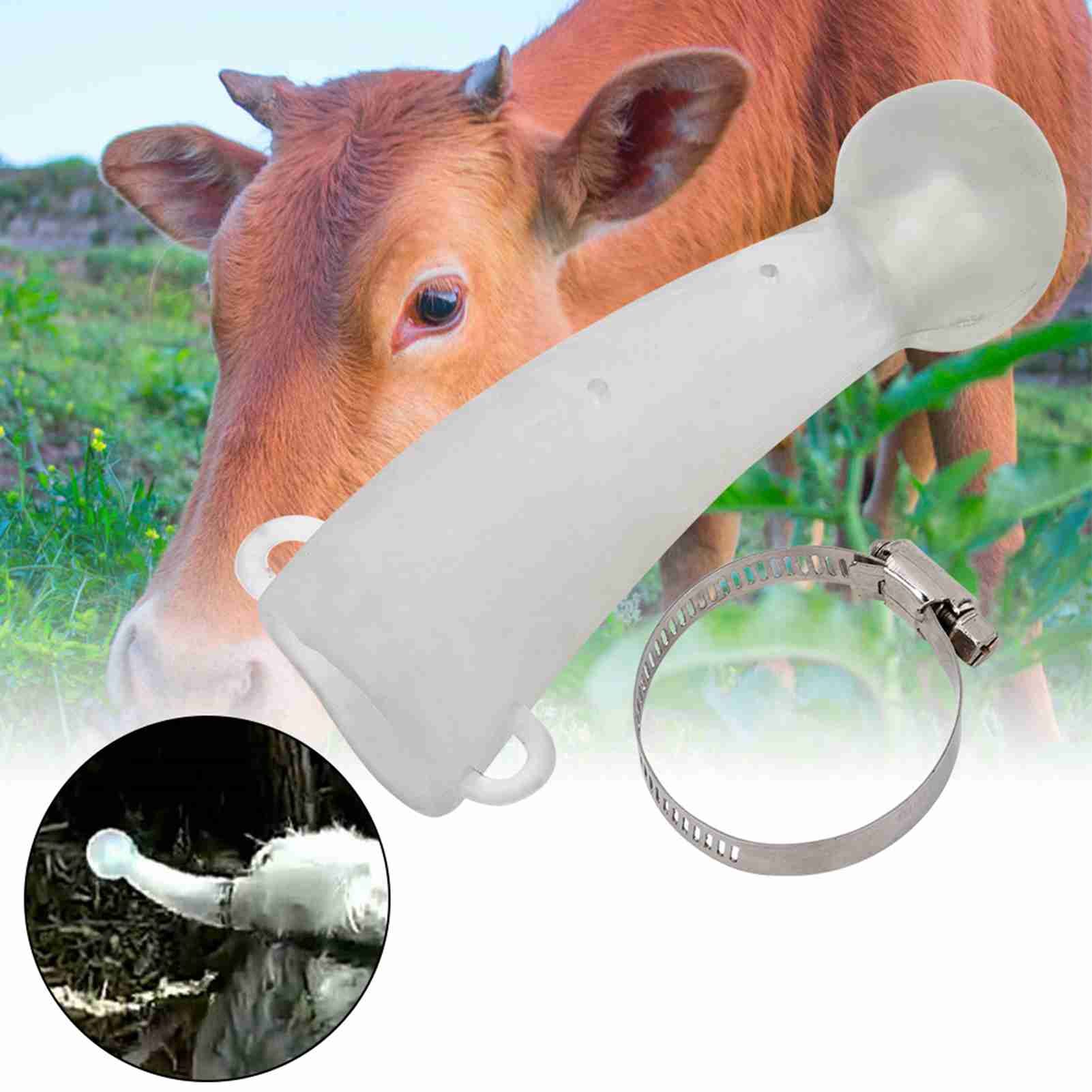 Round Cornered Silicone Safe Cow Calf Cattle Bull Horn Anti fight Protective view 5