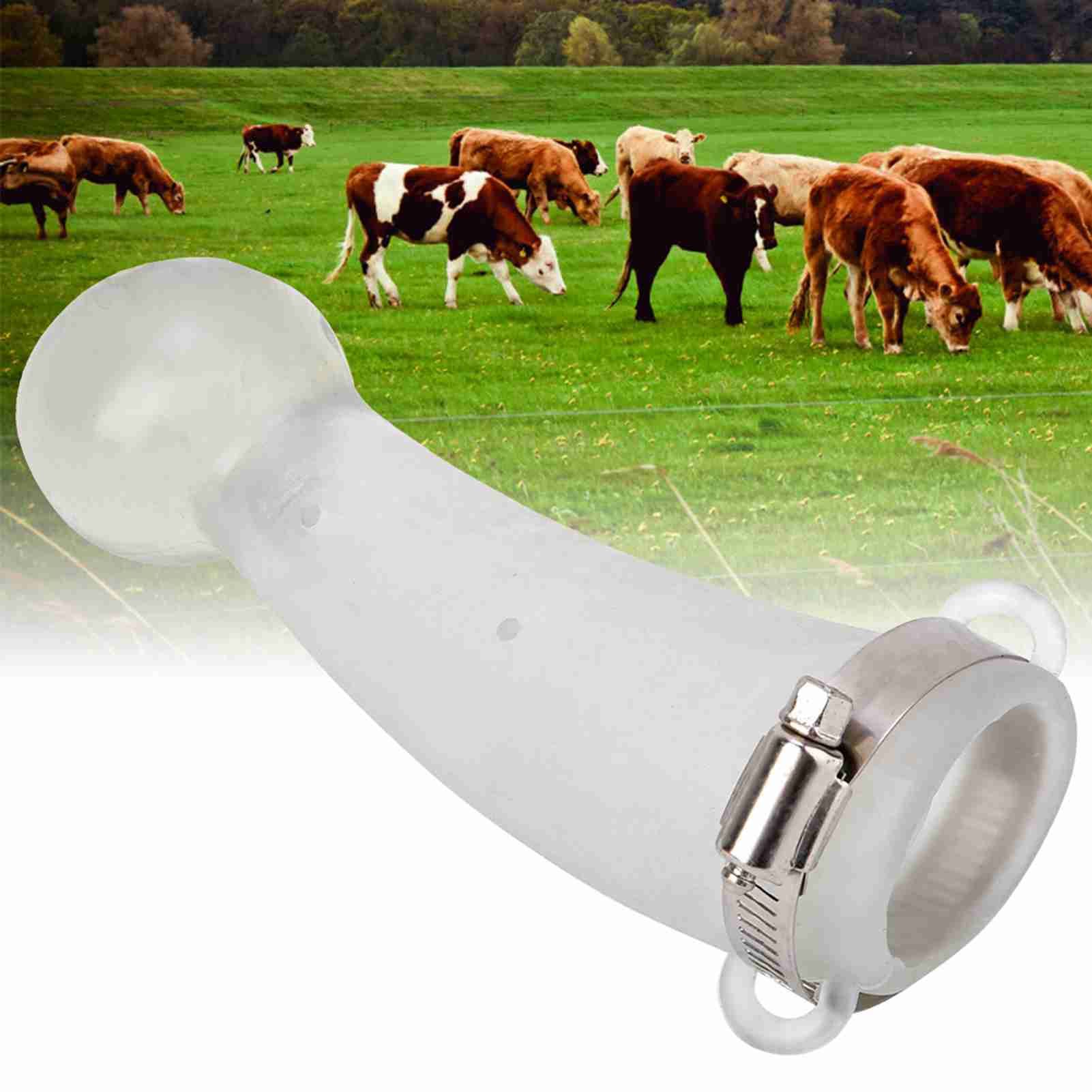 Round Cornered Silicone Safe Cow Calf Cattle Bull Horn Anti fight Protective view 6