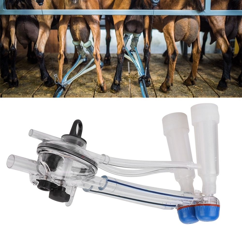 1 set Goat Milking Machine Milking Liners Goat Milking Unit Cattle Cow Sheep view 4