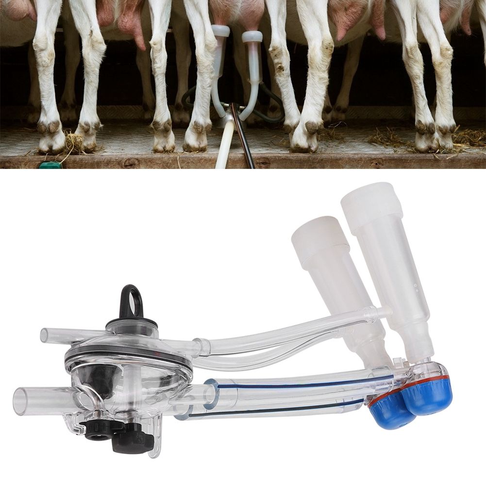 1 set Goat Milking Machine Milking Liners Goat Milking Unit Cattle Cow Sheep view 5