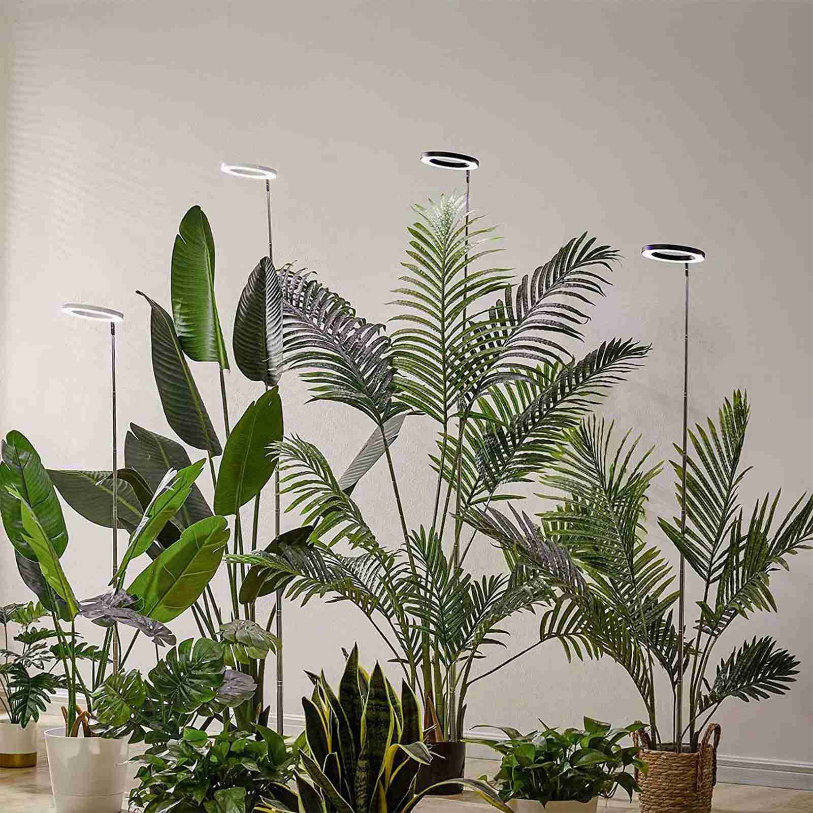 Plant Grow Light Floor Lamp Full Spectrum Sunlight Large Potted Plant Fill view 3
