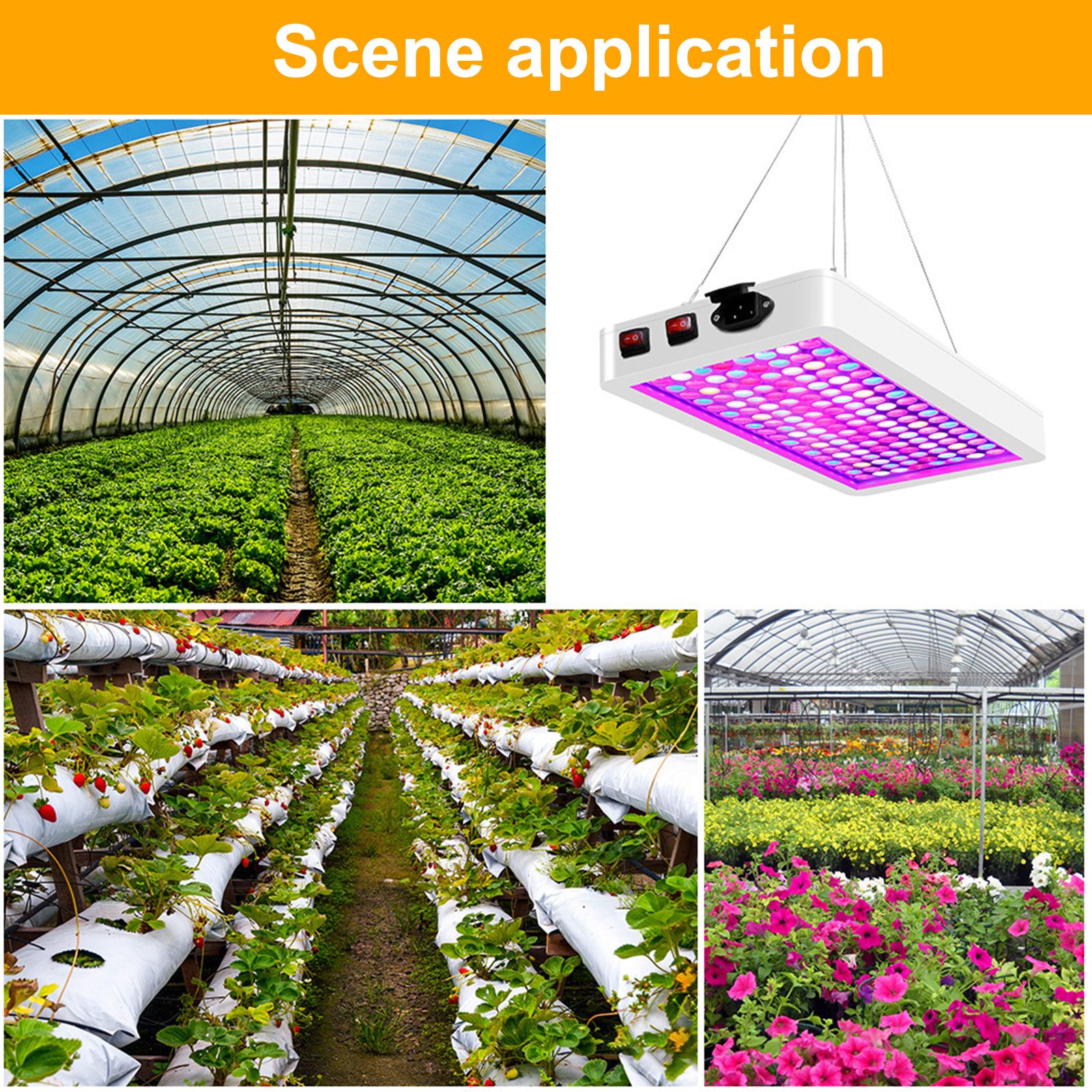 Plant Grow Light LED Succulent Fill Light Full Spectrum Vegetable Flower view 6