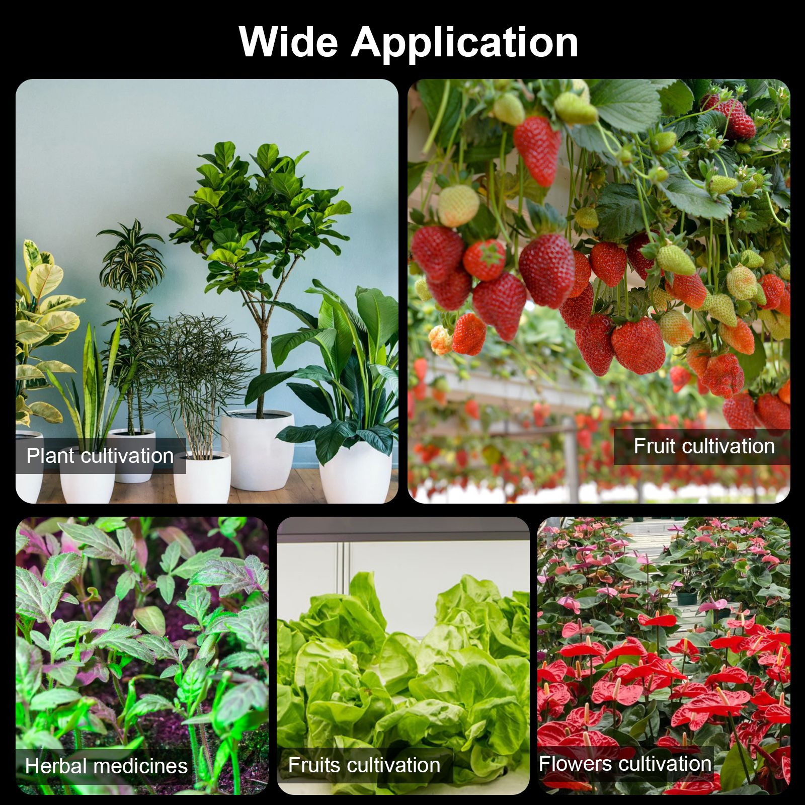 Full Spectrum Growth Light LED Indoor Plant Supplement Light 3000K 5000K IR UV view 4